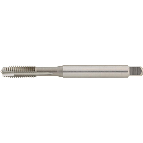 Machos roscar a maquina DIN371 HSSE tipo GS forma B agjo pasante FORTIS 1622