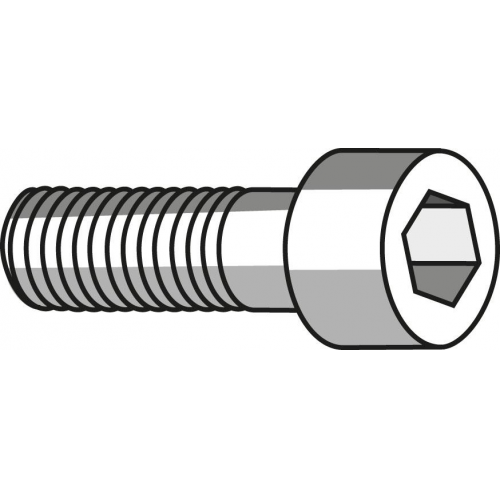Tornillo de apriete para portaplaquitas corte transversalFORMAT _ Serie: 2969 (10 UDS)