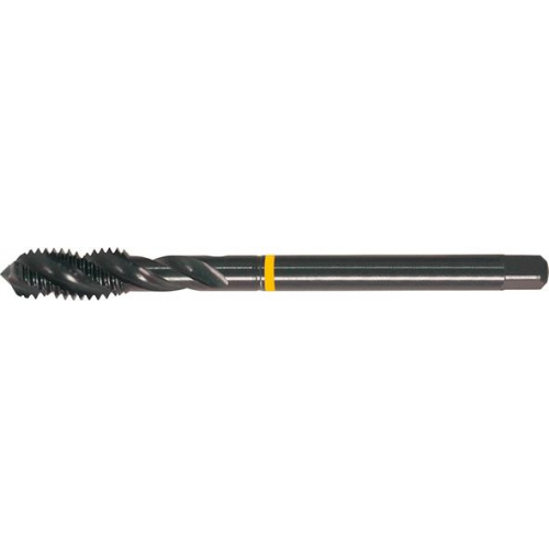 Machos roscar a maquina DIN376 HSSE forma C FORMAT 1682
