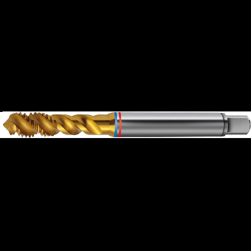 Macho roscar a maquina TANDEM DIN376 HSS-PM TiN tipo N 6H forma C FORMAT 1667