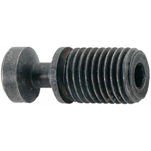 [000664436] Tornillo de apriete para S32S M8x21 T15 _ Serie: 2969 (10 UDS)