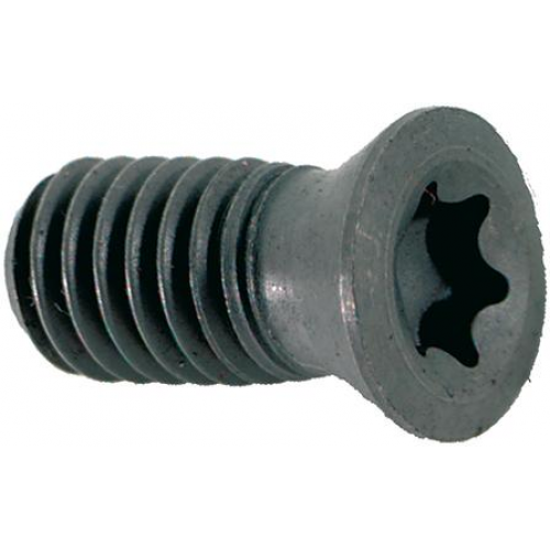 Tornillo de apriete FORMAT  _ Serie: 2969 (10 UDS)