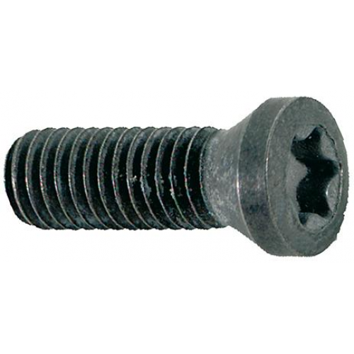 Tornillo de apriete FORMAT  _ Serie: 2969 (10 UDS)